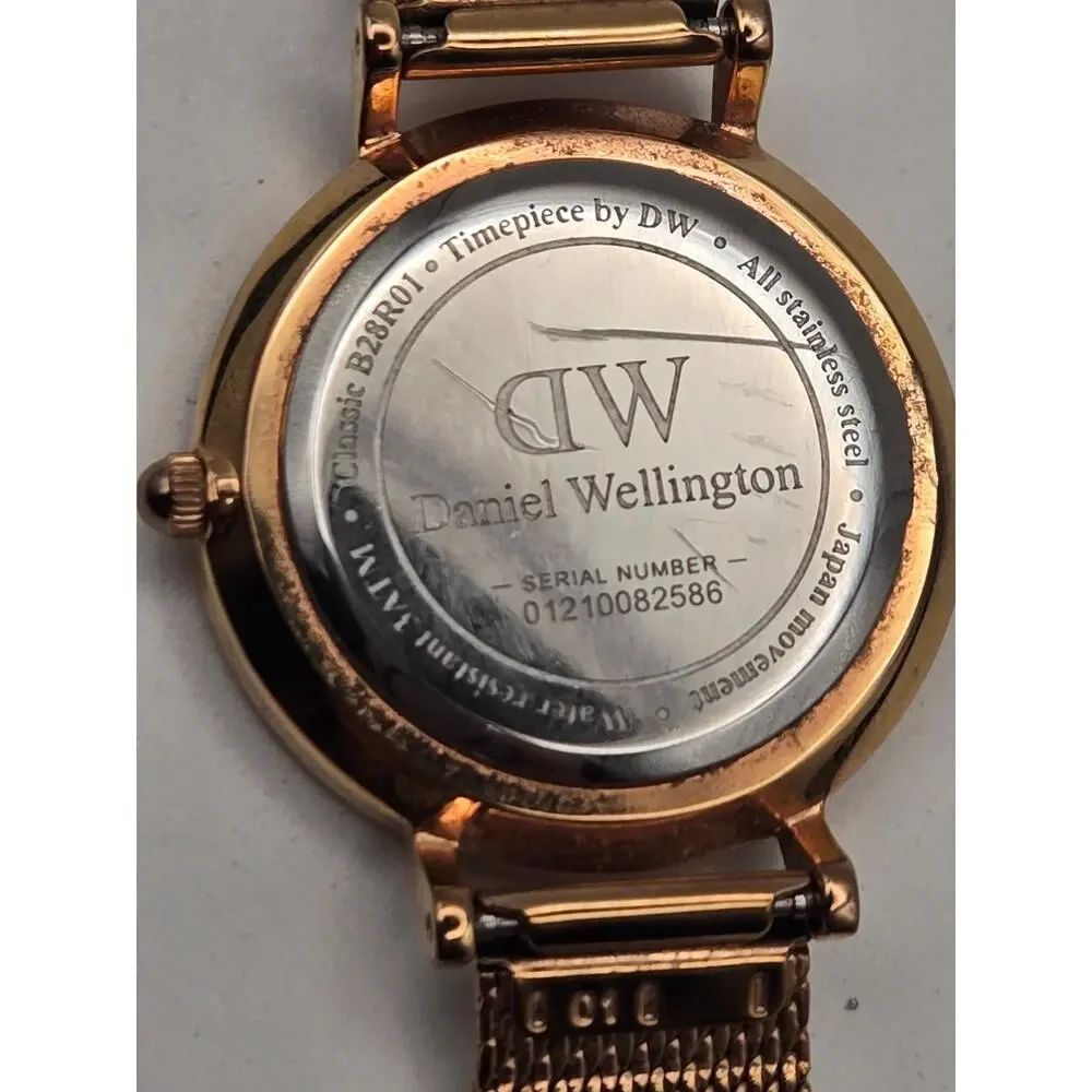 Daniel Wellington Classic Petite Mesh Watch